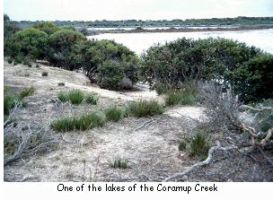 One of the lakes of the Coramup Creek