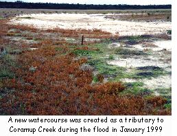 A new tributary to the Coramup Creek