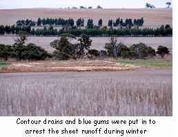 Contour drains and blue gums were put in to arrest the sheet runoff during winter