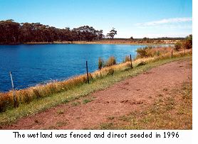 The wetland was fenced and direct seeded in 1996