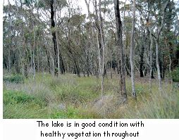 The lake is in good condition with healthy vegetation throughout