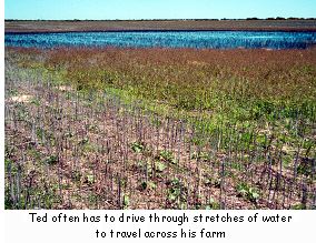 Ted often has to drive through stretches of water to travel across his farm