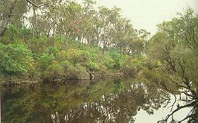 Kalgan River view