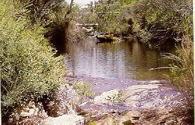 Angove Creek view