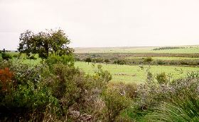 Tributaries to Lake Warden System view