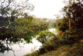 Frankland River view