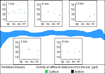 Salinity plots