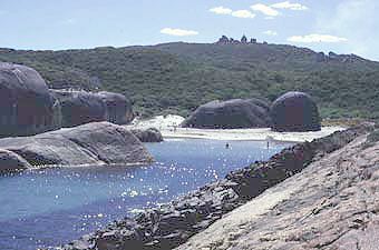 Elephant Pool