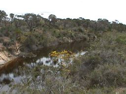 Oldfield River view