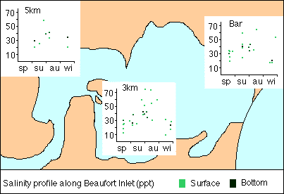 Salinity plots