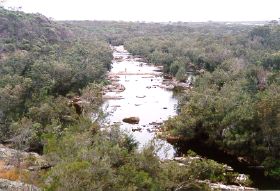 Pallinup River view