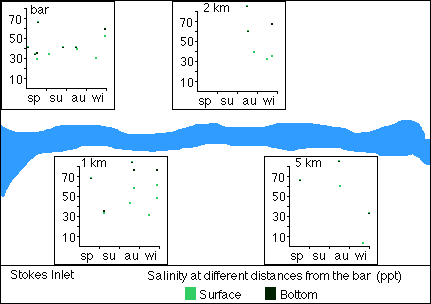 Salinity plots